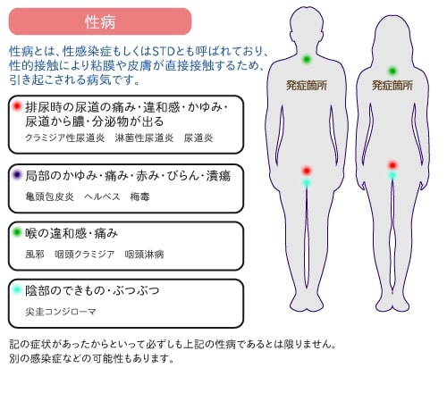 性病 